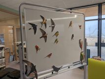 Galerie photo nichoirs